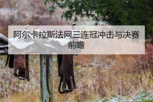 阿尔卡拉斯法网三连冠冲击与决赛前瞻