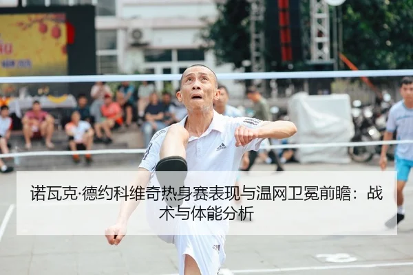 nuo-wa-ke-de-yue-ke-wei-qi-re-shen-sai-biao-xian-yu-wen-wang-wei-mian-qian-zhan-zhan-shu-yu-ti-neng-fen-xi-2-887.jpg