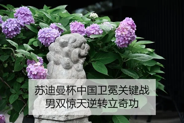 苏迪曼杯中国卫冕关键战 男双惊天逆转立奇功